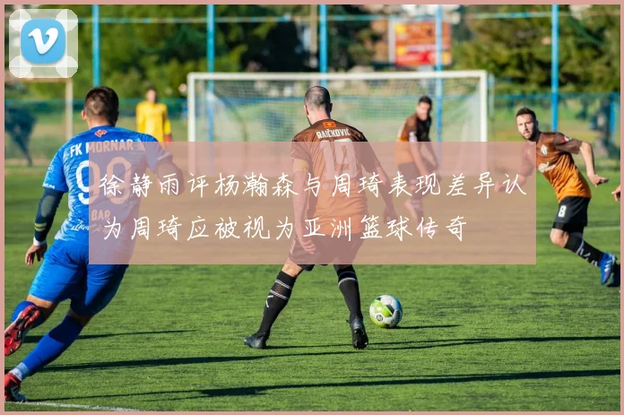 徐静雨评杨瀚森与周琦表现差异认为周琦应被视为亚洲篮球传奇